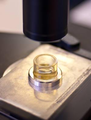 A close up image of a chamber under a microscope.